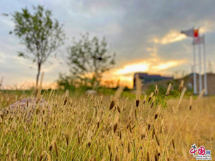 點擊進入下一頁