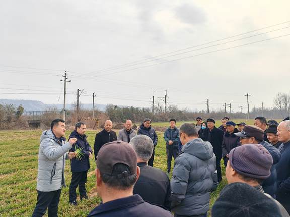 圖示, 示意圖

中度可信度描述已自動生成:ver1