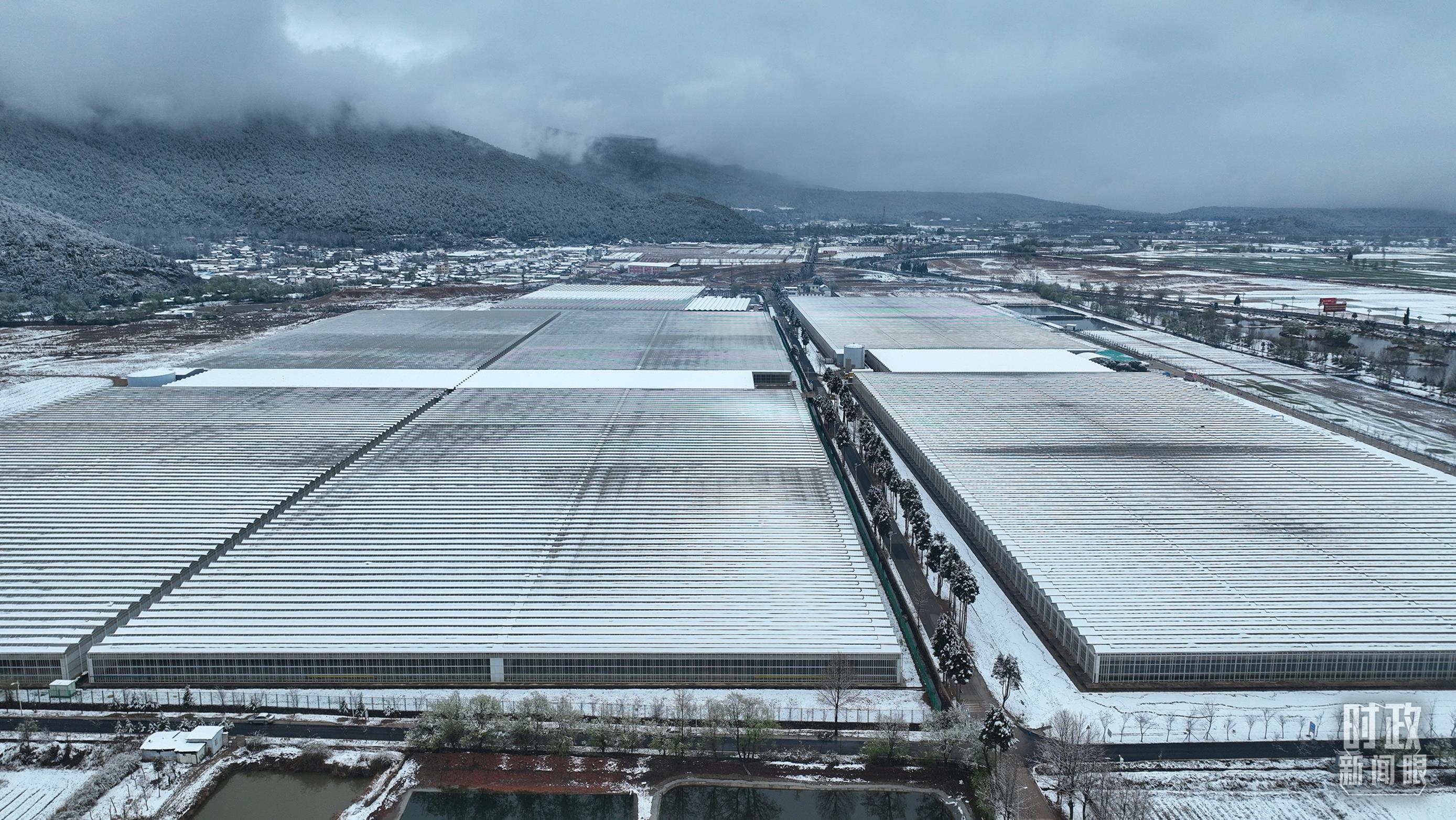 習(xí)近平赴云南麗江考察,關(guān)注這座名城的“古與今” 習(xí)近平赴云南麗江考察,關(guān)注這座名城的“古與今”