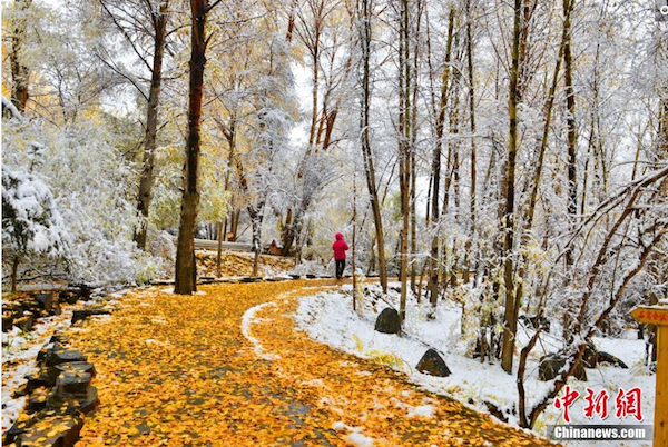 屏幕快照 2014-10-13 上午09.21.23.png