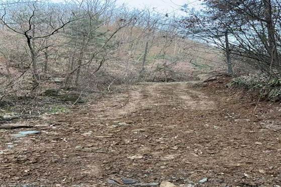 微信圖片_20250120161924