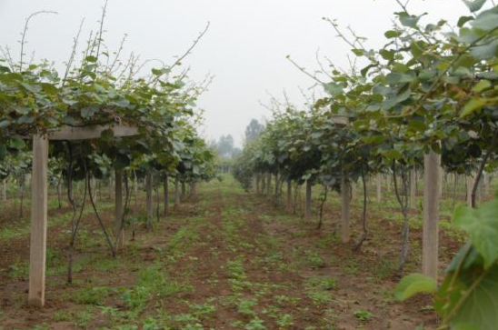 屏幕快照 2014-11-10 下午02.54.36.png