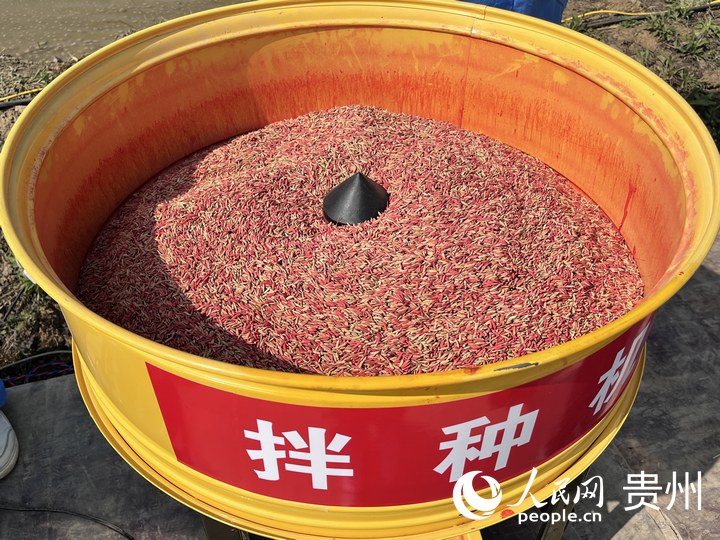 貴陽市堰塘村農(nóng)機(jī)作業(yè)現(xiàn)場,拌種機(jī)正在運(yùn)轉(zhuǎn)。人民網(wǎng) 陳潔泉攝