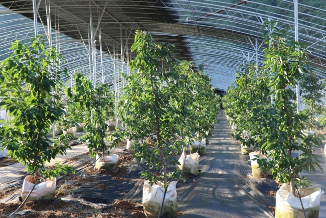 煥新“農(nóng)家院” 開拓“新賽道”——寶雞市渭濱區(qū)推動鄉(xiāng)村文旅融合發(fā)展