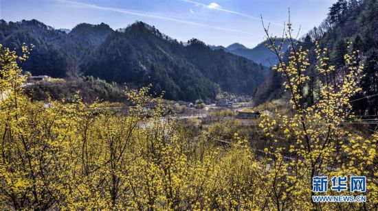 (環(huán)境)(1)巍峨秦嶺 生態(tài)屏障