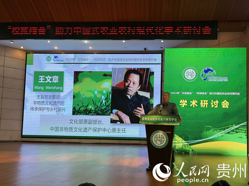 專家發(fā)言。人民網(wǎng) 李麗萍攝