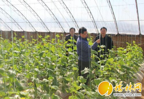 拔尖人才到田間開展培訓(xùn)