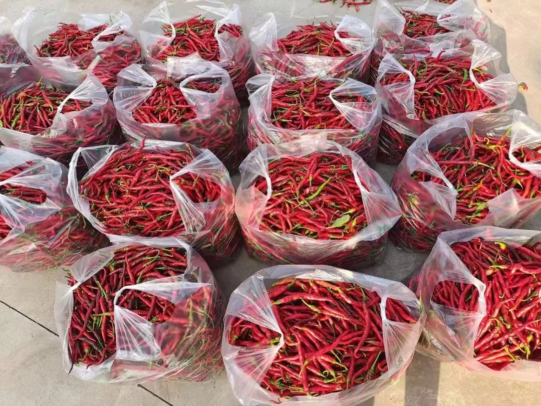 89439402f1c39198392bbf566895c186.jpeg 圖片