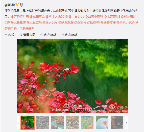 搜狗截圖15??9??5??417_5.png