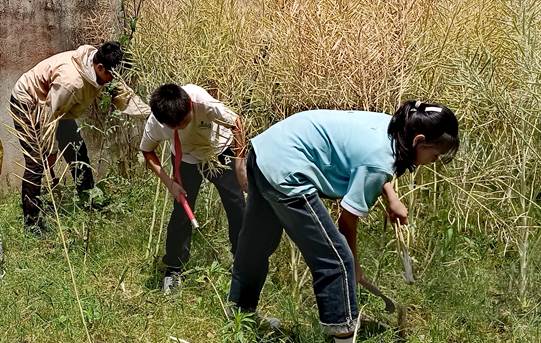 圖示, 示意圖 中度可信度描述已自動生成:ver1