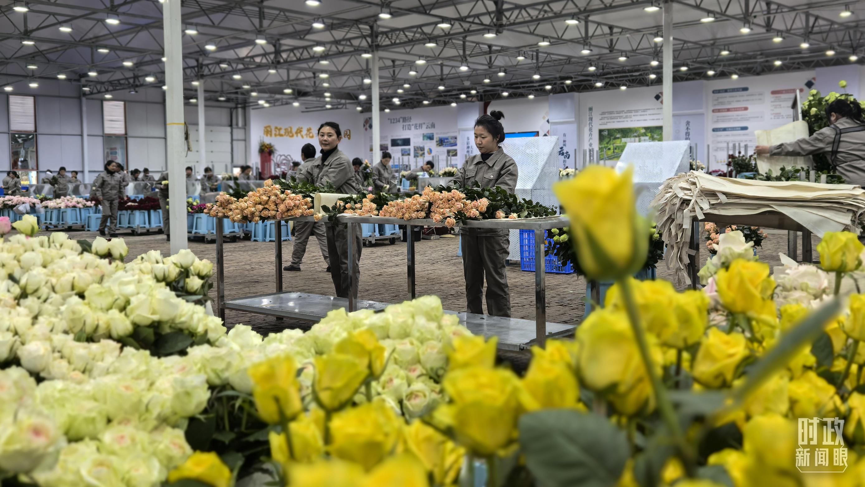 習(xí)近平赴云南麗江考察,關(guān)注這座名城的“古與今” 習(xí)近平赴云南麗江考察,關(guān)注這座名城的“古與今”