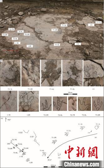 烏爾禾黃羊泉水庫足跡化石野外平面分布及足跡線條圖。汪筱林團(tuán)隊(duì) 供圖 點(diǎn)擊進(jìn)入下一頁