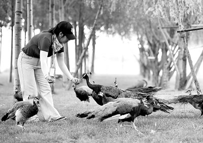 復(fù)蘇是起點(diǎn) 高質(zhì)量發(fā)展是方向 復(fù)蘇是起點(diǎn) 高質(zhì)量發(fā)展是方向