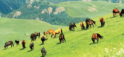 點(diǎn)擊進(jìn)入下一頁