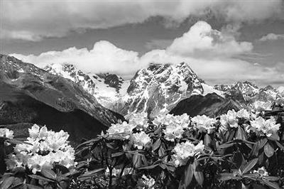 點擊進入下一頁