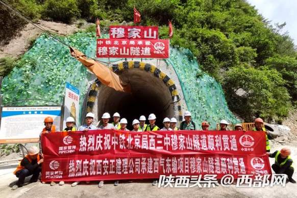 image.png?x-oss-process=style/w10