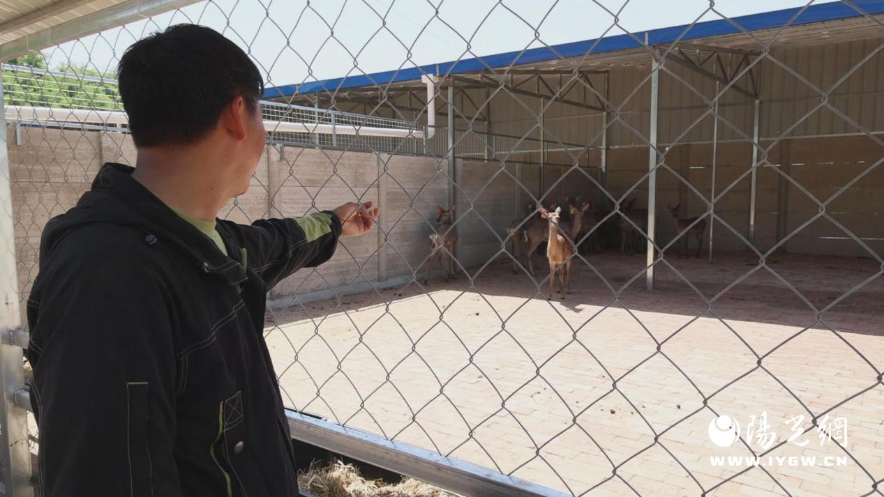 7d75821c5d6d10c72aec8293a2b6a132 7d75821c5d6d10c72aec8293a2b6a132