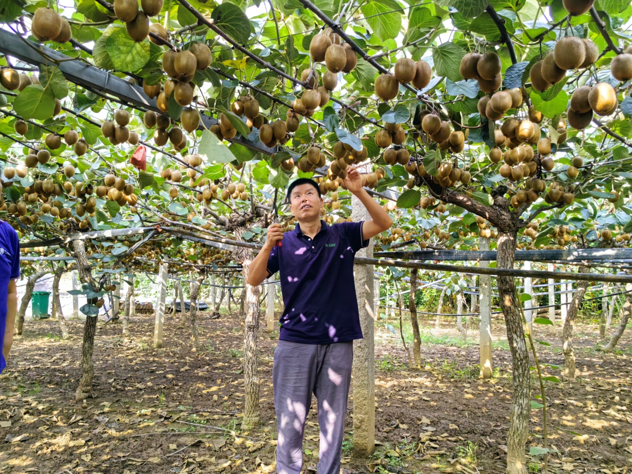 5a00ebf58fc9950e624b70b9e7539b4 5a00ebf58fc9950e624b70b9e7539b4