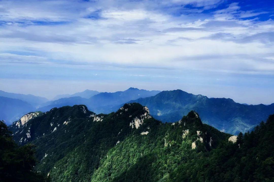 首次!亞洲黑熊“一家三口”留影秦嶺北麓 首次!亞洲黑熊“一家三口”留影秦嶺北麓