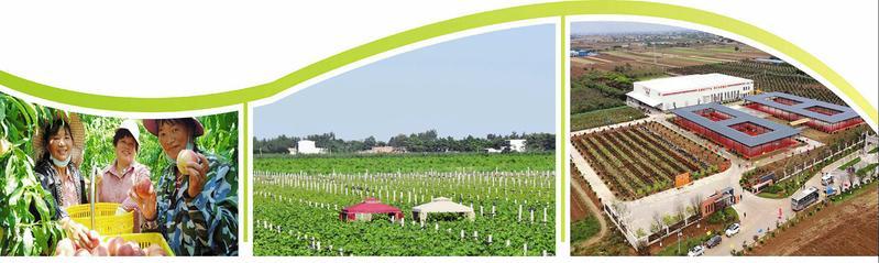 富平縣到賢鎮(zhèn)產(chǎn)業(yè)引領(lǐng)推動“產(chǎn)業(yè)+文化+旅游”融合發(fā)展