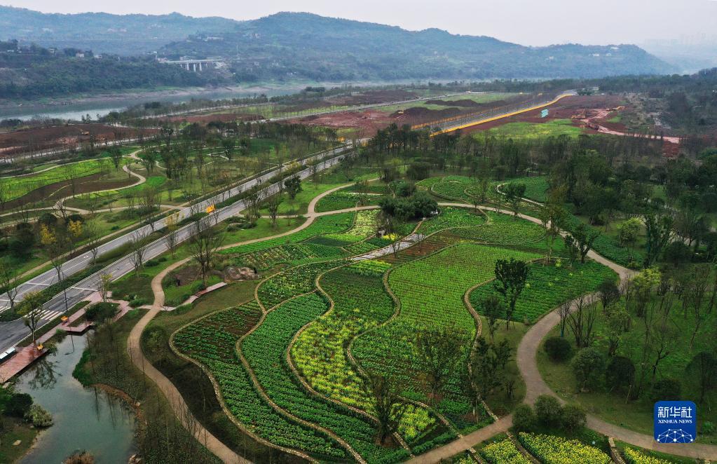 點(diǎn)擊進(jìn)入下一頁(yè)