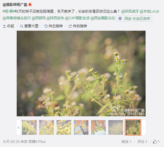 搜狗截圖15??1??8??412_10.png