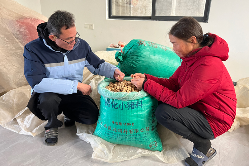 駐村隊員查看脫貧戶家中花生儲存情況。龐源攝