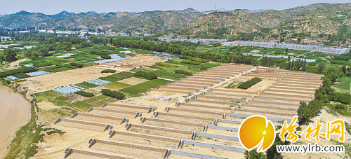 211111111111111111111111111