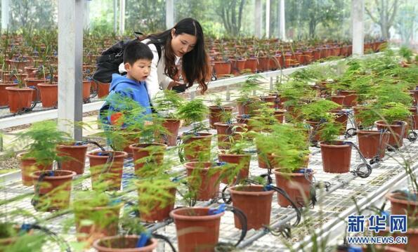 “開心農(nóng)場”里體驗現(xiàn)代農(nóng)業(yè)