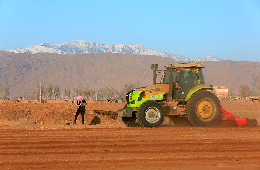 甘肅省張掖市甘州區(qū)龍渠鄉(xiāng)頭閘村田野,村民搶抓農(nóng)時,駕駛農(nóng)機耕耙保墑、播種小麥。楊永偉攝 甘肅省張掖市甘州區(qū)龍渠鄉(xiāng)頭閘村田野,村民搶抓農(nóng)時,駕駛農(nóng)機耕耙保墑、播種小麥。楊永偉攝